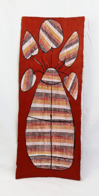 Karrbarda (Long Yam) - Bark -