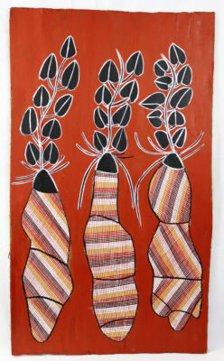 Karrbarda (Long Yam) - Bark -
