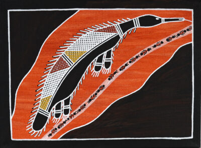 Ngarrbek (Echidna) canvas framed - Painting -