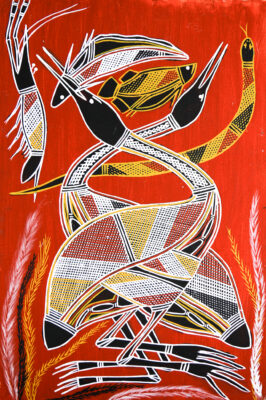 Ngalkordow (Brolga) - Painting -
