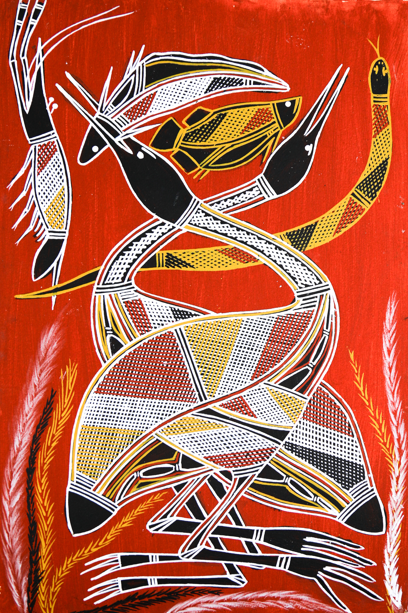 Ngalkordow (Brolga) - Painting -