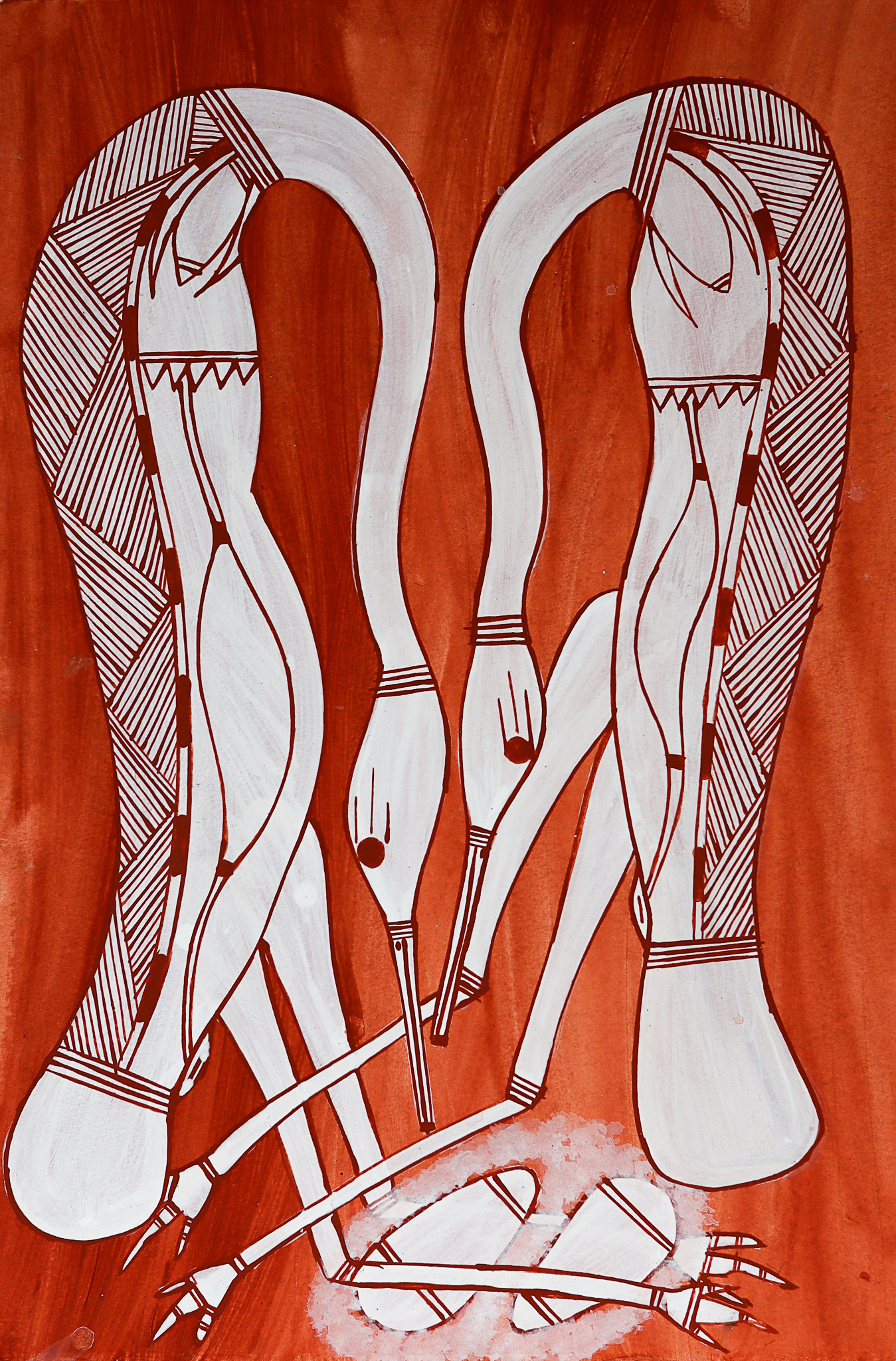 Ngalkordow (Brolga)