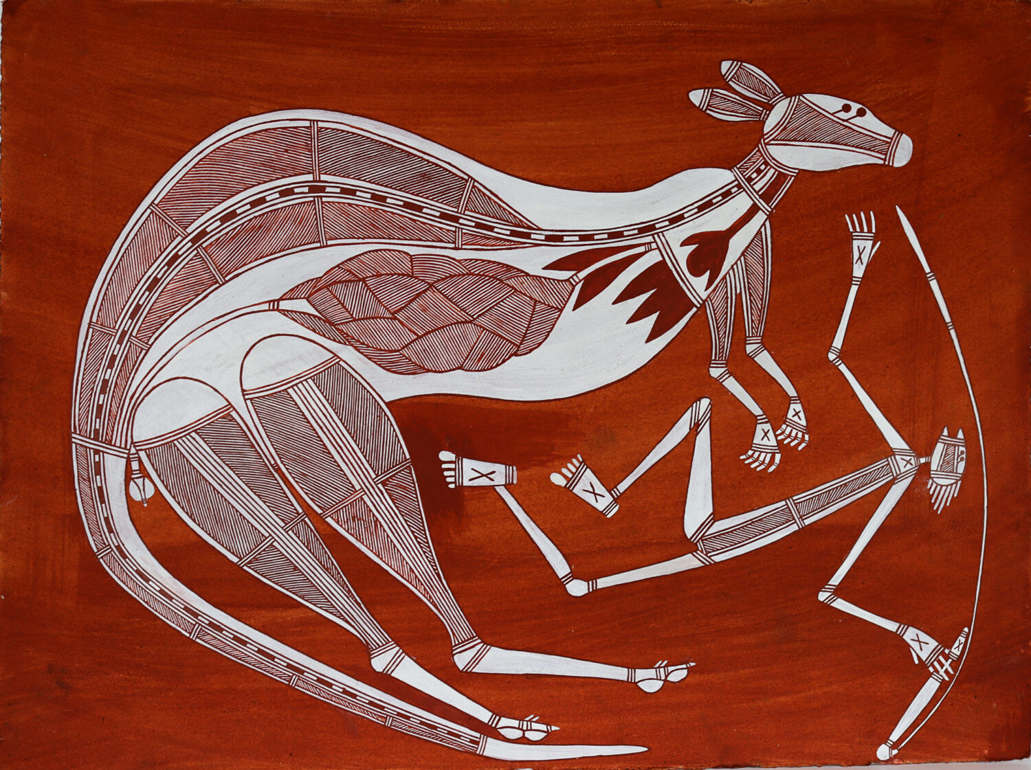 Kunj (Kangaroo)