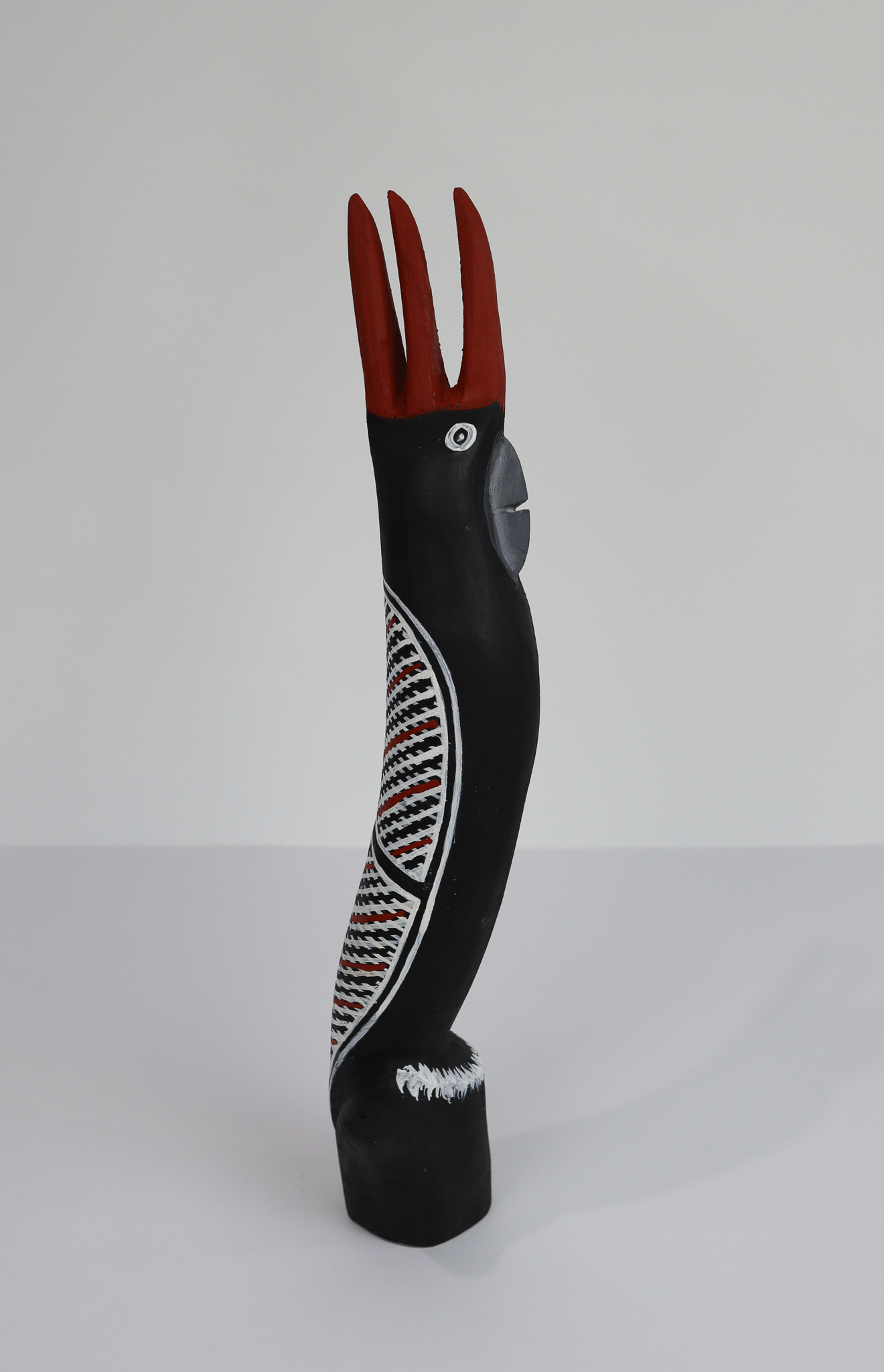 Karnamarr (Red Tailed Black Cockatoo)