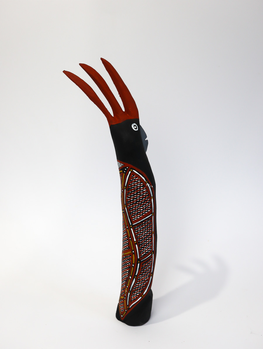 Karnamarr (Red Tailed Black Cockatoo)