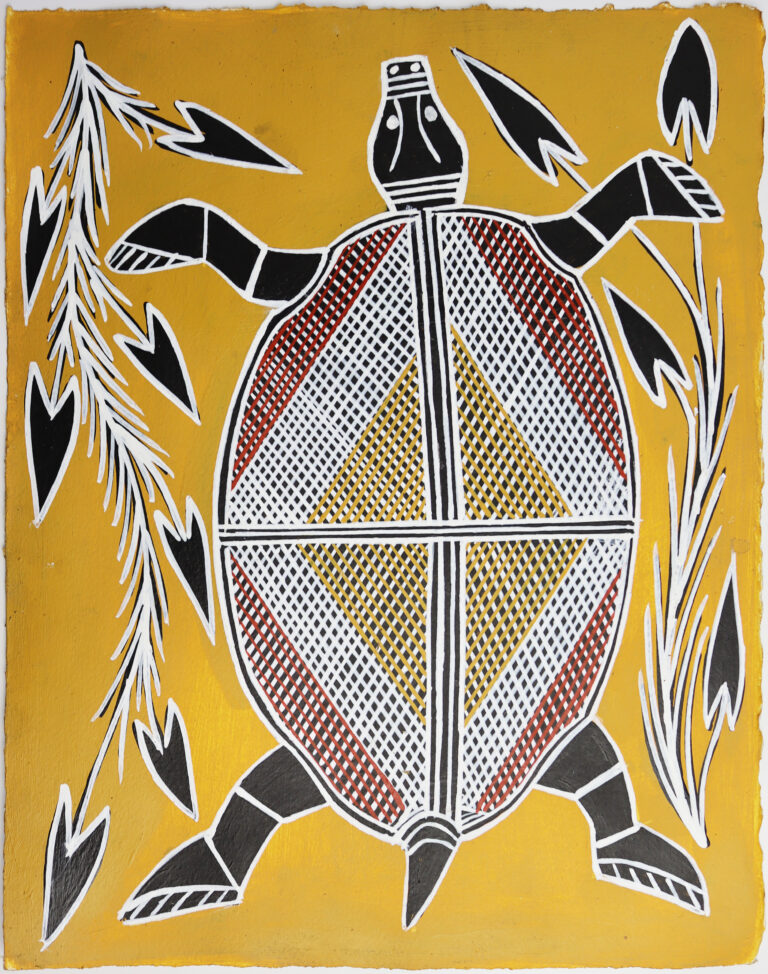 Warradjan (Pig-nosed Turtle) - Painting -